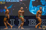 IFBB Чемпионат мира по бодибилдингу - 2019