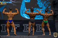 IFBB Чемпионат мира по бодибилдингу - 2019