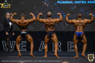 IFBB Чемпионат мира по бодибилдингу - 2019