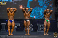 IFBB Чемпионат мира по бодибилдингу - 2019