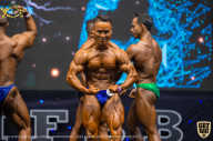 IFBB Чемпионат мира по бодибилдингу - 2019