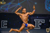 IFBB Чемпионат мира по бодибилдингу - 2019