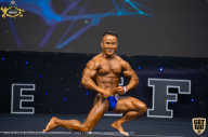 IFBB Чемпионат мира по бодибилдингу - 2019