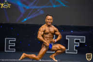 IFBB Чемпионат мира по бодибилдингу - 2019