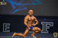 IFBB Чемпионат мира по бодибилдингу - 2019