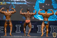 IFBB Чемпионат мира по бодибилдингу - 2019