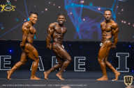 IFBB Чемпионат мира по бодибилдингу - 2019