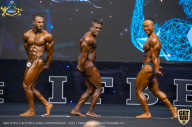 IFBB Чемпионат мира по бодибилдингу - 2019