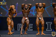 IFBB Чемпионат мира по бодибилдингу - 2019