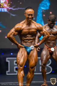 IFBB Чемпионат мира по бодибилдингу - 2019