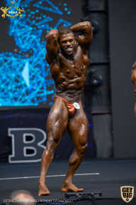 IFBB Чемпионат мира по бодибилдингу - 2019