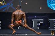 IFBB Чемпионат мира по бодибилдингу - 2019