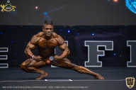 IFBB Чемпионат мира по бодибилдингу - 2019