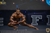 IFBB Чемпионат мира по бодибилдингу - 2019