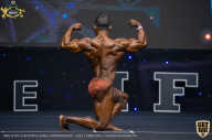 IFBB Чемпионат мира по бодибилдингу - 2019