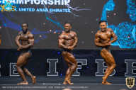 IFBB Чемпионат мира по бодибилдингу - 2019