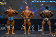 IFBB Чемпионат мира по бодибилдингу - 2019