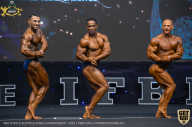 IFBB Чемпионат мира по бодибилдингу - 2019