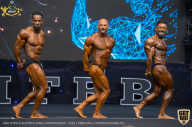 IFBB Чемпионат мира по бодибилдингу - 2019