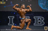 IFBB Чемпионат мира по бодибилдингу - 2019