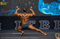 IFBB Чемпионат мира по бодибилдингу - 2019
