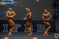 IFBB Чемпионат мира по бодибилдингу - 2019