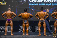 IFBB Чемпионат мира по бодибилдингу - 2019