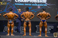 IFBB Чемпионат мира по бодибилдингу - 2019