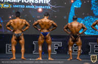 IFBB Чемпионат мира по бодибилдингу - 2019