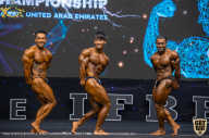 IFBB Чемпионат мира по бодибилдингу - 2019