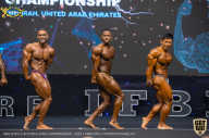 IFBB Чемпионат мира по бодибилдингу - 2019