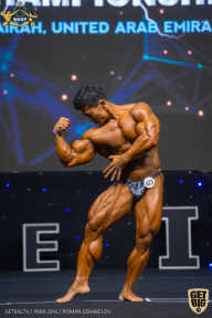 IFBB Чемпионат мира по бодибилдингу - 2019