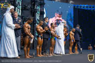 IFBB Чемпионат мира по бодибилдингу - 2019