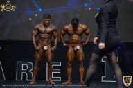 IFBB Чемпионат мира по бодибилдингу - 2019