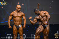IFBB Чемпионат мира по бодибилдингу - 2019