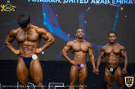 IFBB Чемпионат мира по бодибилдингу - 2019
