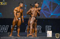 IFBB Чемпионат мира по бодибилдингу - 2019