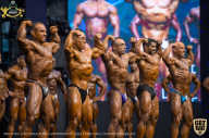 IFBB Чемпионат мира по бодибилдингу - 2019