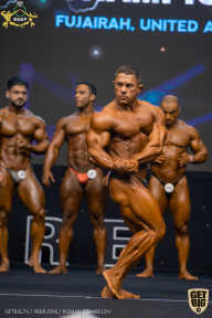 IFBB Чемпионат мира по бодибилдингу - 2019