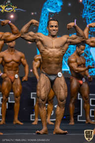 IFBB Чемпионат мира по бодибилдингу - 2019