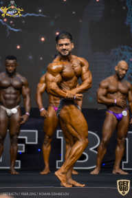 IFBB Чемпионат мира по бодибилдингу - 2019