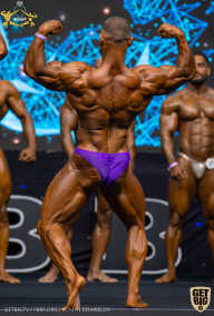 IFBB Чемпионат мира по бодибилдингу - 2019