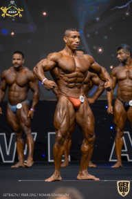 IFBB Чемпионат мира по бодибилдингу - 2019