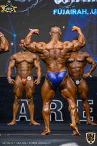 IFBB Чемпионат мира по бодибилдингу - 2019