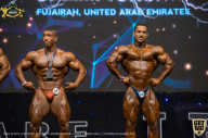 IFBB Чемпионат мира по бодибилдингу - 2019