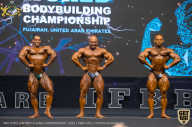 IFBB Чемпионат мира по бодибилдингу - 2019