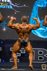 IFBB Чемпионат мира по бодибилдингу - 2019