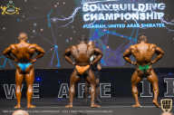 IFBB Чемпионат мира по бодибилдингу - 2019
