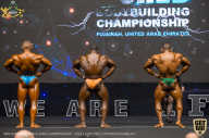 IFBB Чемпионат мира по бодибилдингу - 2019