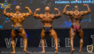 IFBB Чемпионат мира по бодибилдингу - 2019